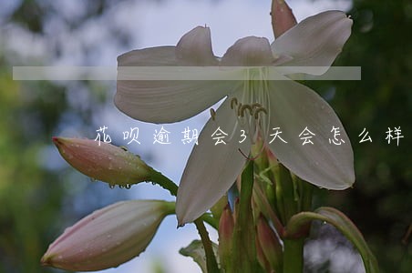 花呗逾期会3天会怎么样 花呗逾期会3天会怎么样