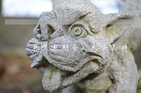 花呗逾期会6天会怎样