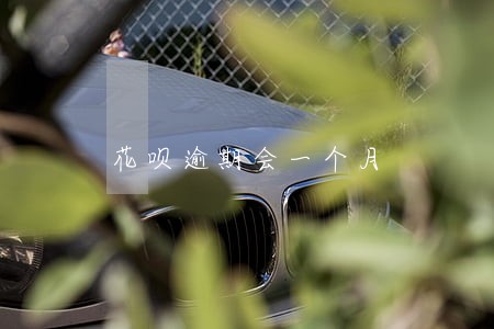 花呗逾期会一个月 花呗逾期会一个月