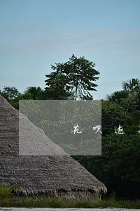 花呗逾期会一直发催收短信吗 花呗逾期会一直发催收短信吗