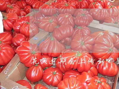 花呗逾期会上传到哪里 花呗逾期会上传到哪里