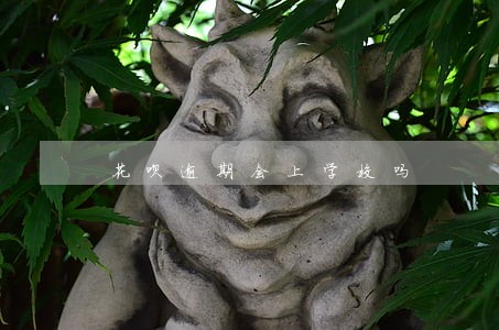 花呗逾期会上学校吗 花呗逾期会上学校吗