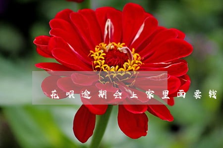 花呗逾期会上家里面要钱吗 花呗逾期会上家里面要钱吗