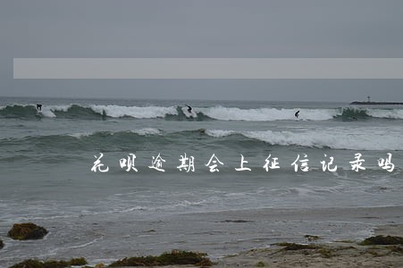 花呗逾期会上征信记录吗 花呗逾期会上征信记录吗