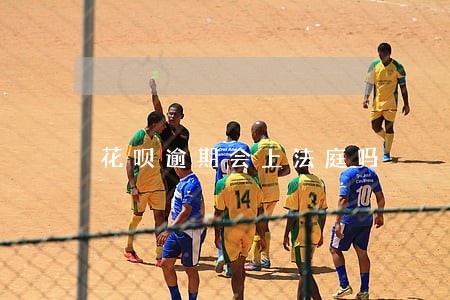 花呗逾期会上法庭吗 花呗逾期会上法庭吗