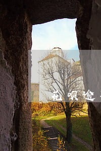花呗逾期会上派出所不