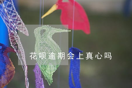 花呗逾期会上真心吗 花呗逾期会上真心吗