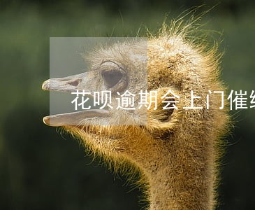 花呗逾期会上门催缴吗 花呗逾期会上门催缴吗
