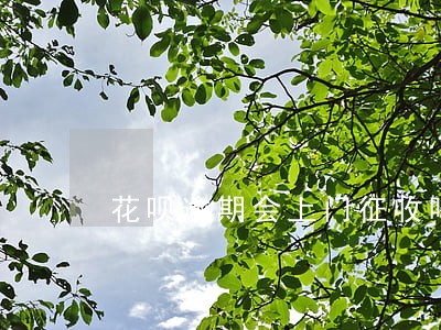 花呗逾期会上门征收吗 花呗逾期会上门征收吗