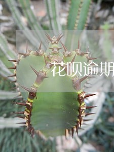 花呗逾期会上门调查 花呗逾期会上门调查