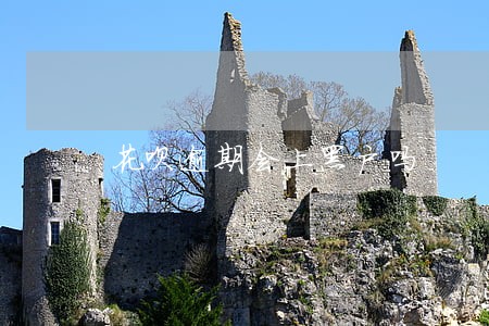花呗逾期会上黑户吗 花呗逾期会上黑户吗