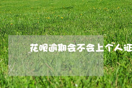 花呗逾期会不会上个人征信