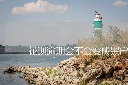 花呗逾期会不会变成黑户 花呗逾期会不会变成黑户