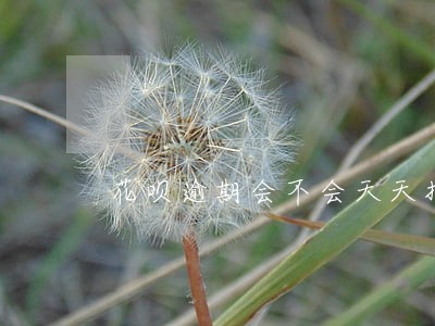 花呗逾期会不会天天打电话催 花呗逾期会不会天天打电话催