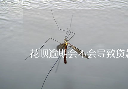 花呗逾期会不会导致贷款被拒 花呗逾期会不会导致贷款被拒
