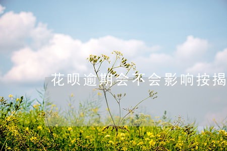 花呗逾期会不会影响按揭房子 花呗逾期会不会影响按揭房子