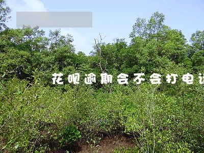 花呗逾期会不会打电话催还 花呗逾期会不会打电话催还