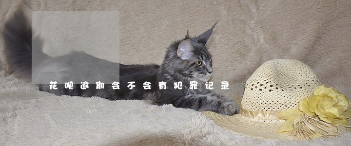 花呗逾期会不会有犯罪记录