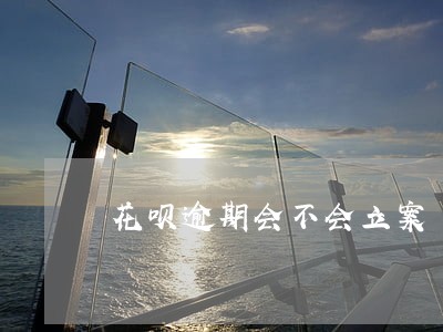 花呗逾期会不会立案 花呗逾期会不会立案