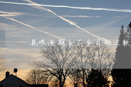 花呗逾期会不会自动还款 花呗逾期会不会自动还款