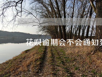 花呗逾期会不会通知到村里 花呗逾期会不会通知到村里