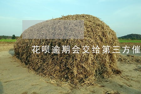 花呗逾期会交给第三方催收 花呗逾期会交给第三方催收