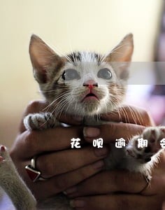 花呗逾期会从其他银行卡扣吗