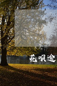 花呗逾期会从我刚办的卡里扣钱吗 花呗逾期会从我刚办的卡里扣钱吗