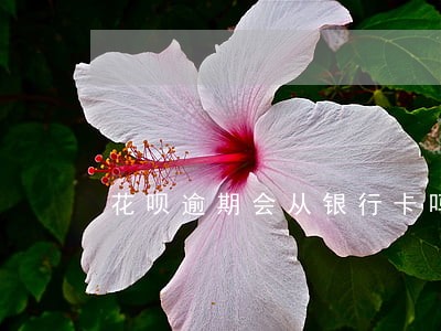 花呗逾期会从银行卡吗 花呗逾期会从银行卡吗