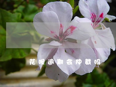 花呗逾期会仲裁吗