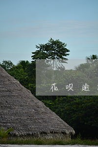 花呗逾期会停用信用卡么 花呗逾期会停用信用卡么