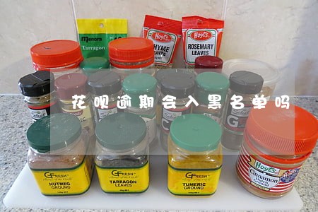 花呗逾期会入黑名单吗 花呗逾期会入黑名单吗