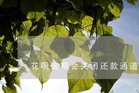 花呗逾期会关闭还款通道吗 花呗逾期会关闭还款通道吗