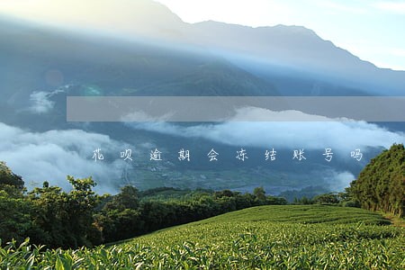 花呗逾期会冻结账号吗 花呗逾期会冻结账号吗