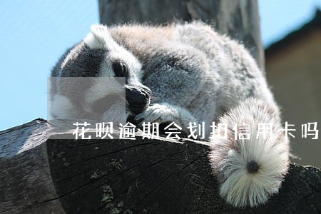 花呗逾期会划扣信用卡吗