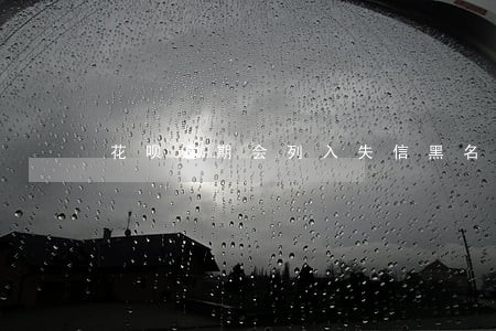 花呗逾期会列入失信黑名单吗