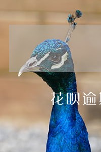 花呗逾期会加入黑名单吗 花呗逾期会加入黑名单吗