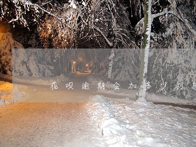 花呗逾期会加多少利息 花呗逾期会加多少利息