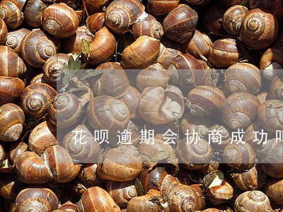 花呗逾期会协商成功吗 花呗逾期会协商成功吗