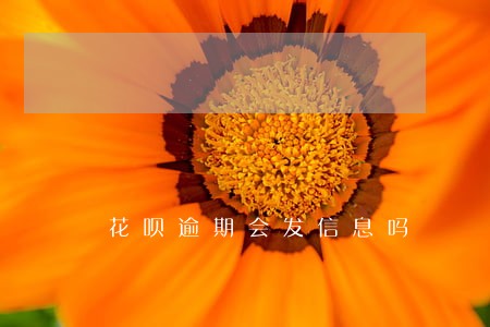 花呗逾期会发信息吗