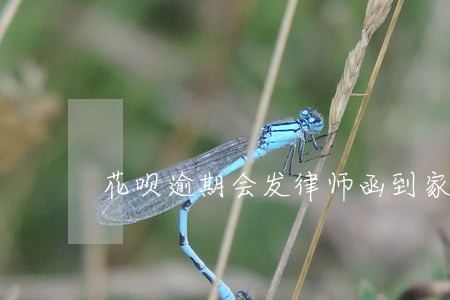 花呗逾期会发律师函到家吗 花呗逾期会发律师函到家吗