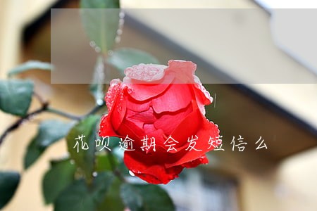 花呗逾期会发短信么 花呗逾期会发短信么