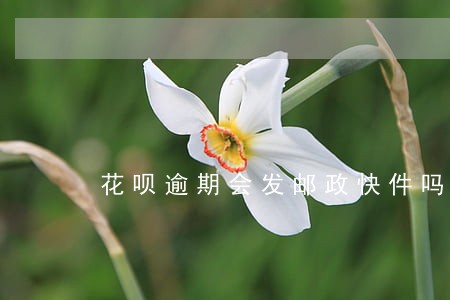 花呗逾期会发邮政快件吗 花呗逾期会发邮政快件吗
