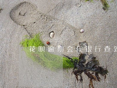 花呗逾期会在银行查到吗 花呗逾期会在银行查到吗