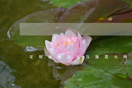 花呗逾期会在页面显示吗 花呗逾期会在页面显示吗