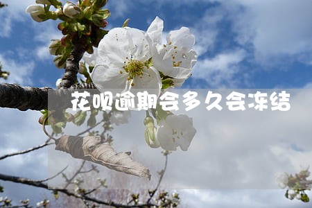 花呗逾期会多久会冻结 花呗逾期会多久会冻结