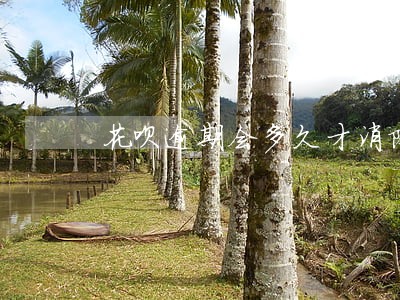 花呗逾期会多久才消除 花呗逾期会多久才消除