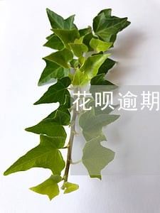 花呗逾期会多扣钱吗 花呗逾期会多扣钱吗