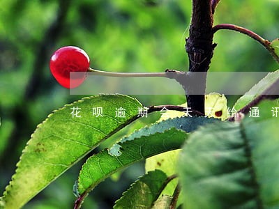 花呗逾期会天天给通讯录打电话吗 花呗逾期会天天给通讯录打电话吗