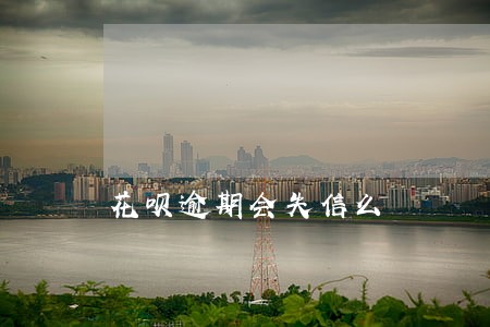 花呗逾期会失信么 花呗逾期会失信么